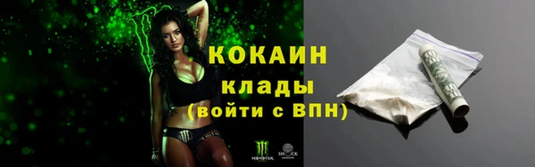 трава Пересвет
