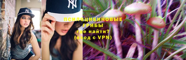 2c-b Алексеевка